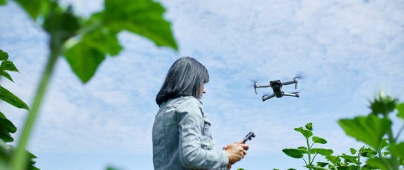 Sistema faz contagem automática de plantas na lavoura por imagens de drones
