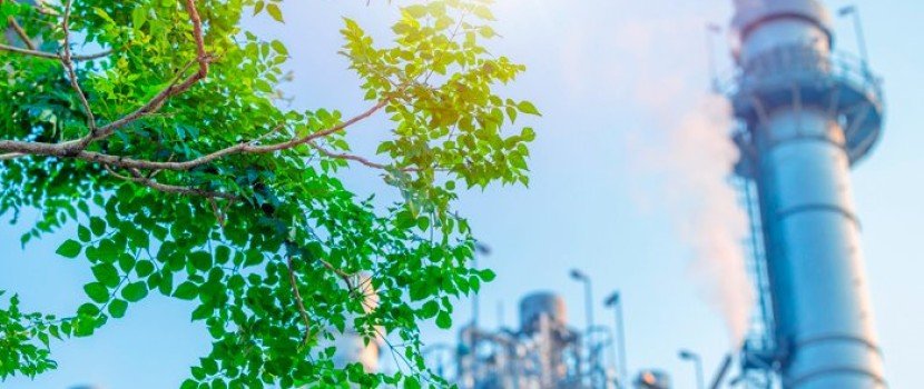 Agricultura de baixo carbono ganha novos desafios até 2030